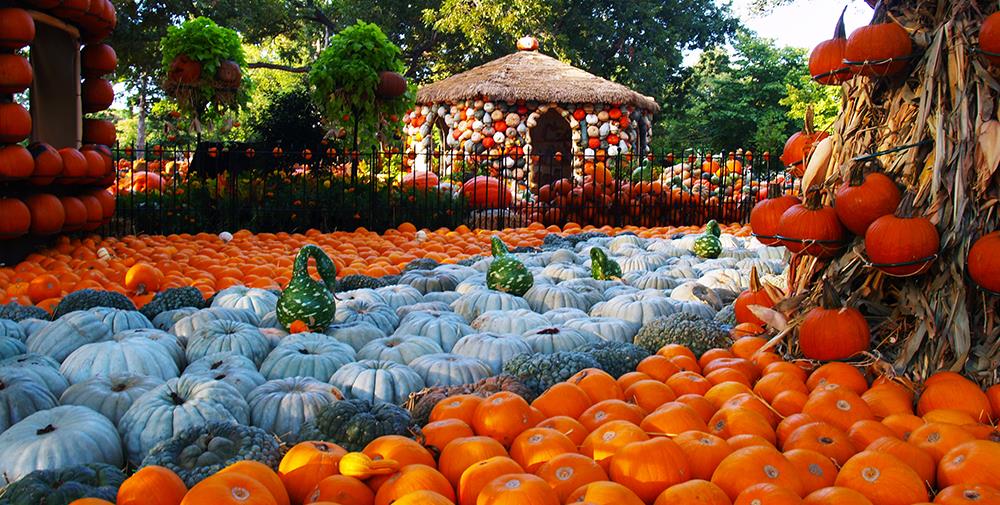 Sept. 19th Nov. 25th "Autumn at the Arboretum" Pumpkin Festival White Rock Mike